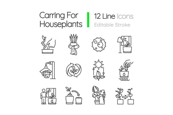 Mastering Houseplant Care with the Caring for Houseplants Linear Icons Set